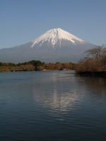 田貫湖の富士山のサムネイル写真7