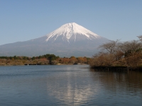 田貫湖の富士山のサムネイル写真27