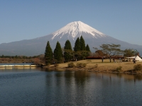 田貫湖の富士山のサムネイル写真38