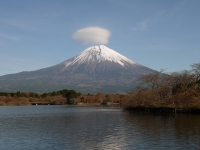 田貫湖の富士山のサムネイル写真24