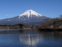 田貫湖の富士山のサムネイル写真31