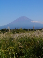 朝霧高原 国道139号沿いの富士山のサムネイル写真3