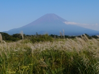 朝霧高原 国道139号沿いの富士山のサムネイル写真11