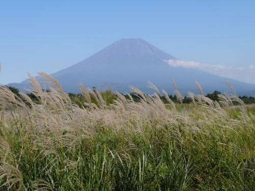 朝霧高原 国道139号沿いの富士山の写真5