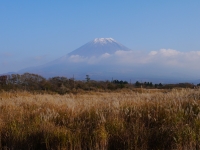 朝霧高原 国道139号沿いの富士山のサムネイル写真9