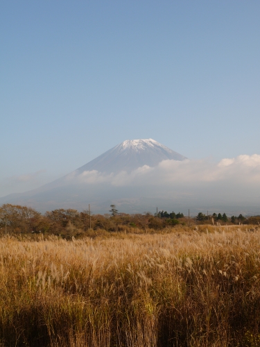 朝霧高原 国道139号沿いの富士山の写真2