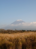 朝霧高原 国道139号沿いの富士山のサムネイル写真2