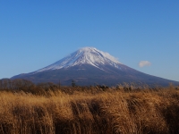 朝霧高原 国道139号沿いの富士山のサムネイル写真10