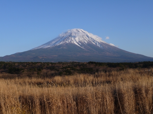 朝霧高原 国道139号沿いの富士山の写真8
