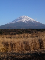 朝霧高原 国道139号沿いの富士山のサムネイル写真4