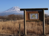 朝霧高原 国道139号沿いの富士山のサムネイル写真7