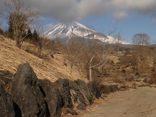 富士山こどもの国の富士山の写真3