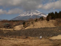 富士山こどもの国の富士山のサムネイル写真1