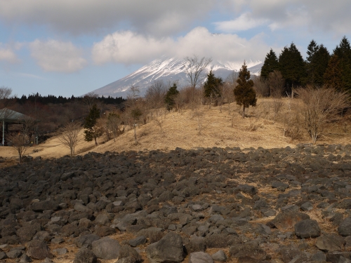 富士山こどもの国の富士山の写真7