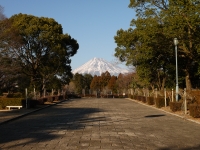 広見公園の富士山のサムネイル写真5