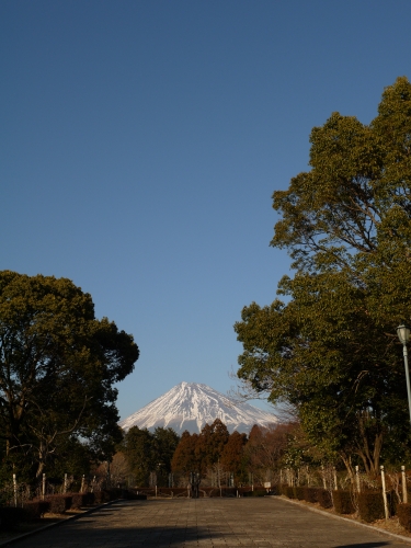 広見公園の富士山の写真1