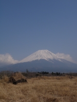 静岡県・山梨県道71号線沿いの富士山のサムネイル写真3