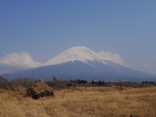 静岡県・山梨県道71号線沿いの富士山の写真11