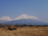 静岡県・山梨県道71号線沿いの富士山のサムネイル写真11
