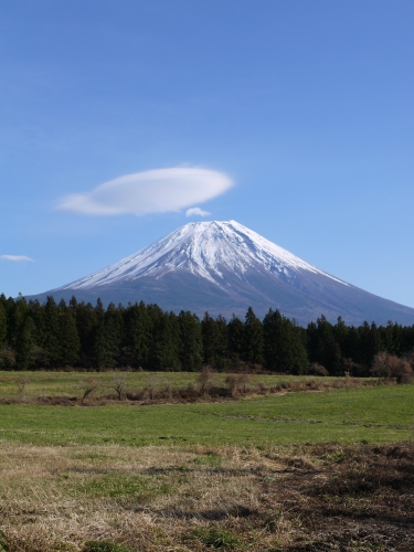 あさぎりフードパークの富士山の写真1