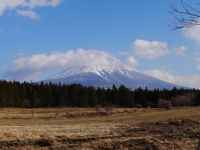あさぎりフードパークの富士山のサムネイル写真4