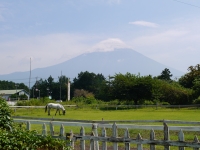 富士ミルクランドの富士山のサムネイル写真9