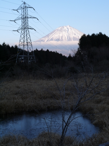 小田貫湿原の富士山の写真2
