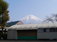 まかいの牧場の富士山のサムネイル写真7