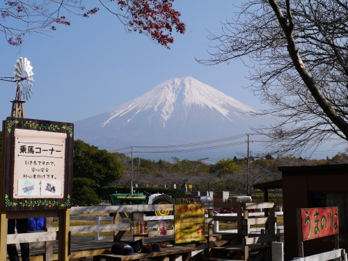 まかいの牧場の富士山の写真6