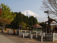 まかいの牧場の富士山のサムネイル写真9