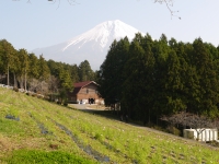 まかいの牧場の富士山のサムネイル写真8