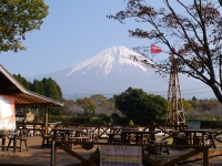 まかいの牧場の富士山のサムネイル写真14
