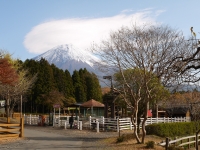 まかいの牧場の富士山のサムネイル写真11