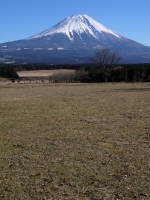 ふもとっぱらの富士山のサムネイル写真2