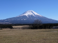 ふもとっぱらの富士山のサムネイル写真4