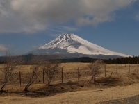 忠ちゃん牧場の富士山のサムネイル写真2
