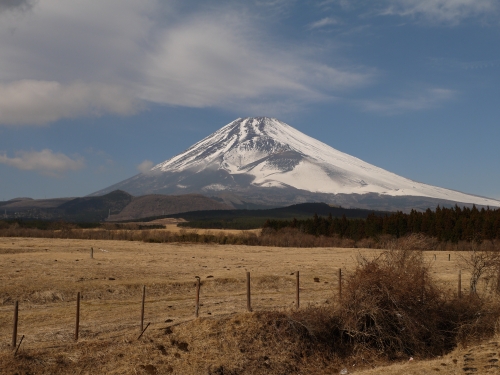 忠ちゃん牧場の富士山の写真1