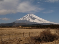 忠ちゃん牧場の富士山のサムネイル写真1