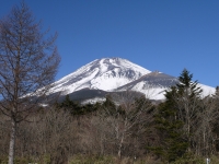 水ヶ塚公園の富士山のサムネイル写真7