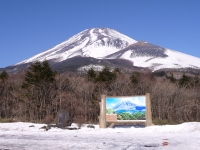 水ヶ塚公園の富士山のサムネイル写真2