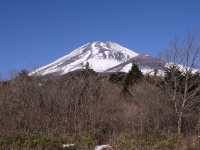 水ヶ塚公園の富士山のサムネイル写真5