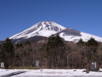 水ヶ塚公園の富士山のサムネイル写真9