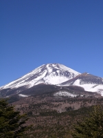 水ヶ塚公園の富士山のサムネイル写真1
