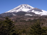 腰切塚展望台の富士山のサムネイル写真6