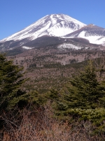 腰切塚展望台の富士山のサムネイル写真4
