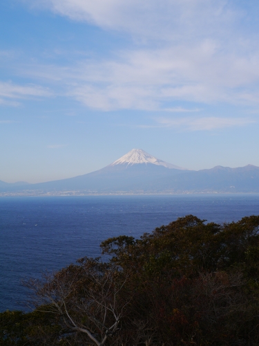 夕映えの丘の富士山の写真1