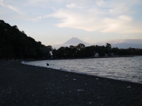 大瀬崎の富士山のサムネイル写真3