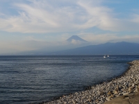 西伊豆歩道大瀬崎コースの富士山のサムネイル写真12