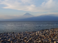 西伊豆歩道大瀬崎コースの富士山のサムネイル写真13