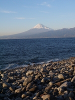 西伊豆歩道大瀬崎コースの富士山のサムネイル写真5